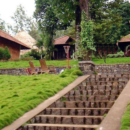 دارامشالا Hotel Misty Woods المظهر الخارجي الصورة