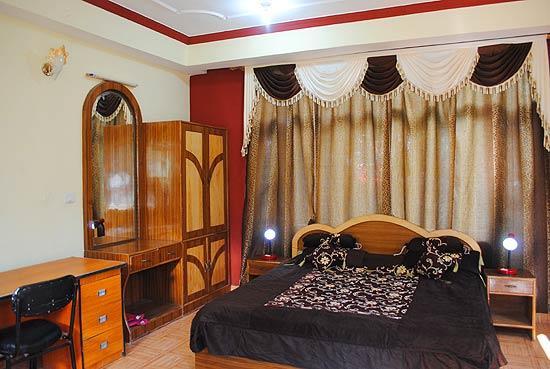 دارامشالا Hotel Misty Woods المظهر الخارجي الصورة